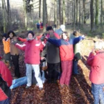 Baum_bauen