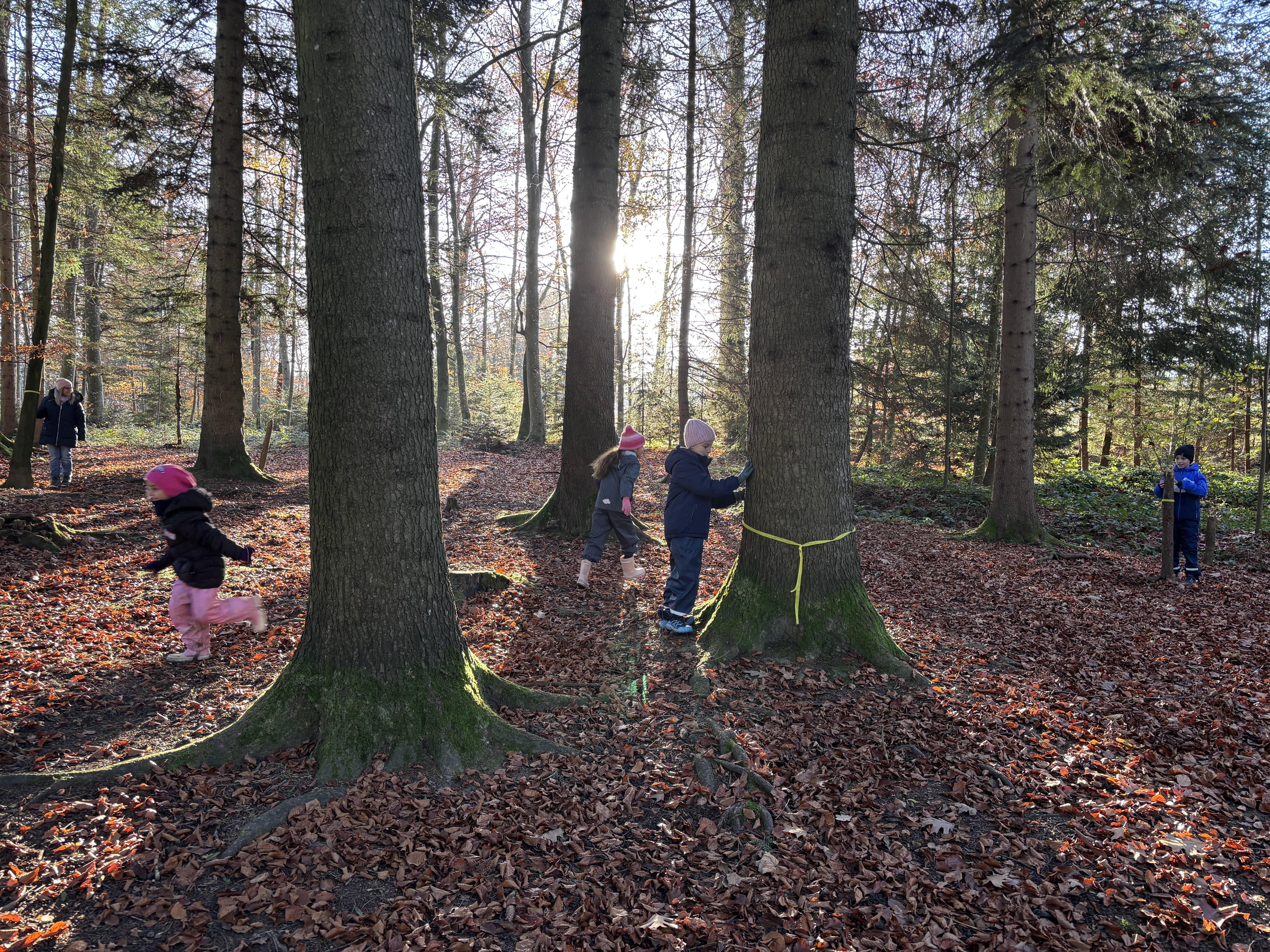 Naturschule St.Gallen