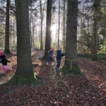 Flawil-Baeume-Winterwald-20251112-3