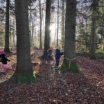 Flawil-Baeume-Winterwald-20251112-3